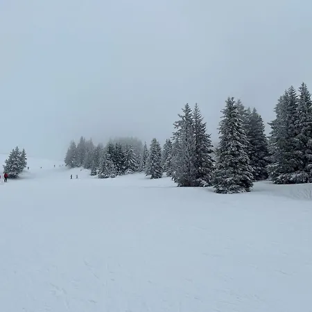 8 Personnes Au Pied Des Pistes